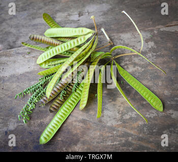 Fruit of Leucaena leucocepphala seed for food in asia / White popinac Stock Photo