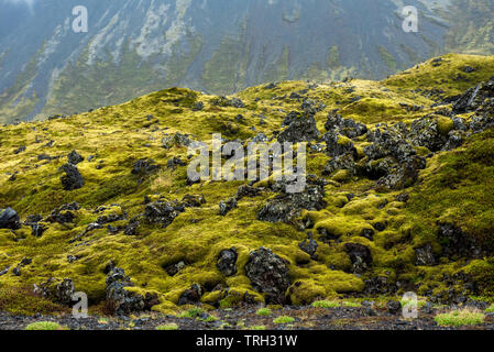 Eldhraun lava field, flow and ridge covered with green moss in Iceland Stock Photo