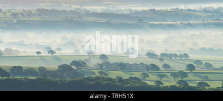 Marshwood Vale, Dorset, UK. 6th June 2019. UK Weather: A layer of mist rises above the luscious green fields of the Marshwood Vale on a summer morning as an ominous weather front brings a day of sunshine and scattered rain showers in the South West. Credit: Celia McMahon/Alamy Live News. Stock Photo