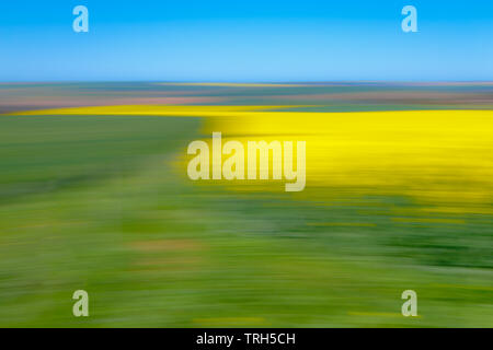 An abstract impression of the yellow  Canola and green Wheat fields in the Western Cape Province, South Africa Stock Photo