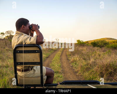 A tracker looking for big game at the Phinda Private Game Reserve, an andBeyond owned nature reserve, South Africa. Stock Photo