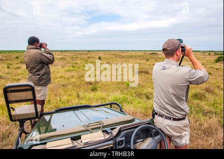 A tracker and guide looking for big game at the Phinda Private Game Reserve, an andBeyond owned nature reserve, South Africa Stock Photo