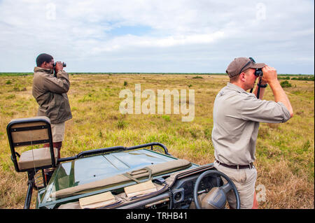 A tracker and guide looking for big game at the Phinda Private Game Reserve, an andBeyond owned nature reserve in South Africa. Stock Photo