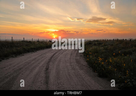 Dirt road at sunrise, North Platte River valley, western Nebraska, USA Stock Photo