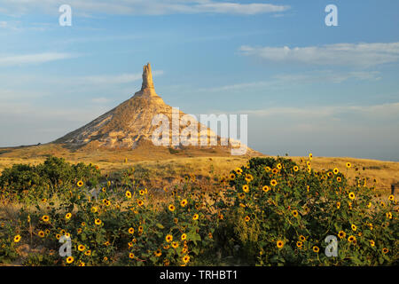 Chimney Rock National Historic Site with sunflowers, western Nebraska, USA. The peak of Chimney Rock is 1289 meters above sea level. Stock Photo