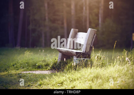 A shabby wooden bench made of logs stands on a meadow in the Park on background a coniferous pine forest in the evening. Stock Photo