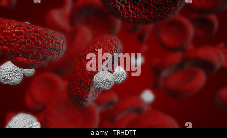 Illustration of white blood cells and red blood cells used in medicine or science Stock Photo