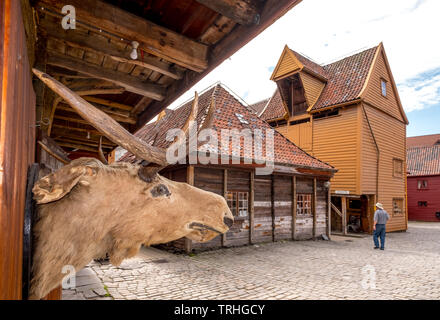 Wooden moose head at a wooden house wall with canopy at a cobblestone path on the tourist walk in Bryggen, Bergen, Hordaland, Norway, Scandinavia, Eur Stock Photo