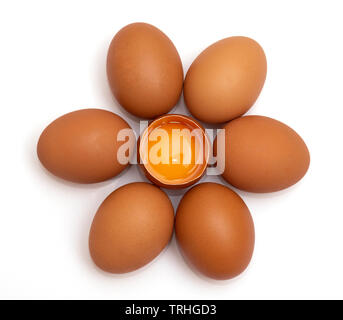 flower of egg on white background Stock Photo