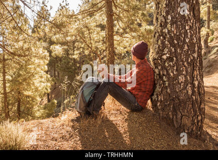Shinrin Yoku, (Forest Bathing). Slim, mature male hiker relaxing in early morning sunshine in pine forest.