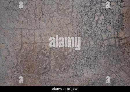 Cracked patterns concrete wall texture background. Unpainted & untreated grunge cement surface with crack lines like blood vessels Stock Photo