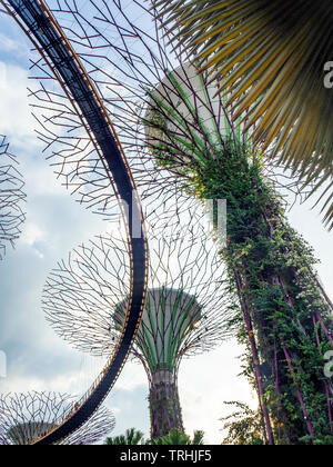 Elevated walkway weaving between artificial trees in the Supertree Grove vertical garden at Gardens by the Bay Singapore.