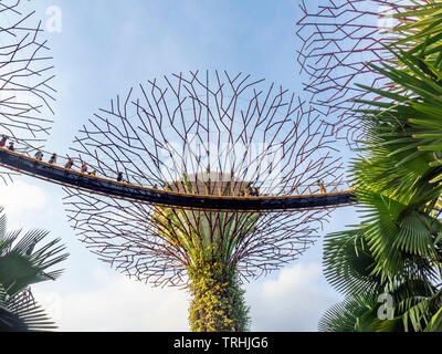 Elevated walkway weaving between artificial trees in the Supertree Grove vertical garden at Gardens by the Bay Singapore.