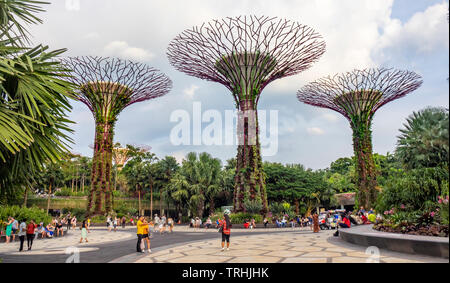 Tourists walking between artificial trees in the Supertree Grove vertical garden at Gardens by the Bay Singapore. Stock Photo