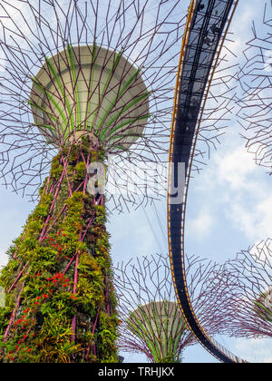 Elevated walkway weaving between artificial trees in the Supertree Grove vertical garden at Gardens by the Bay Singapore. Stock Photo