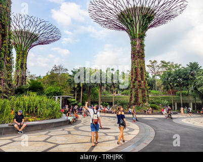 Tourists walking between artificial trees in the Supertree Grove vertical garden at Gardens by the Bay Singapore. Stock Photo