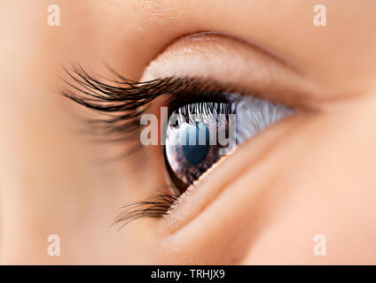 Eye of Child closeup. High detailed photo Stock Photo