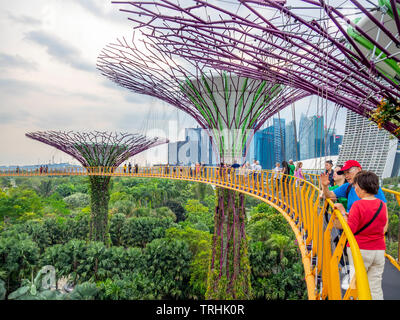 Tourists on the elevated walkway OCBC Skyway between two of the Supertrees  in the Supertree Grove at Gardens by the Bay Singapore. Stock Photo