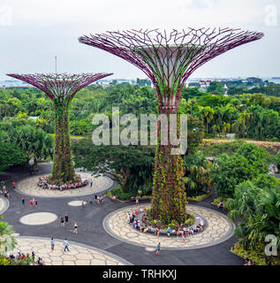 Tourists walking between artificial trees in the Supertree Grove vertical garden at Gardens by the Bay Singapore. Stock Photo