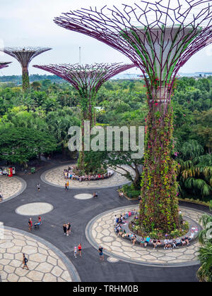 Tourists walking between artificial trees in the Supertree Grove vertical garden at Gardens by the Bay Singapore. Stock Photo