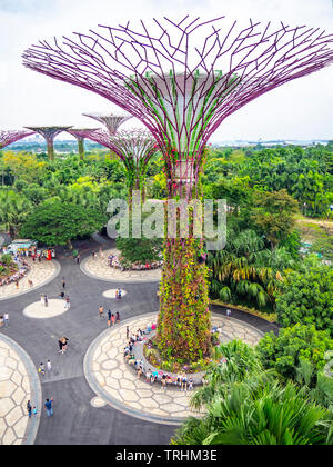 Tourists walking between artificial trees in the Supertree Grove vertical garden at Gardens by the Bay Singapore. Stock Photo