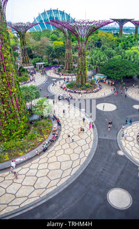Tourists walking between artificial trees in the Supertree Grove vertical garden at Gardens by the Bay Singapore. Stock Photo