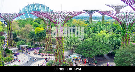 Tourists walking between artificial trees in the Supertree Grove vertical garden at Gardens by the Bay Singapore. Stock Photo