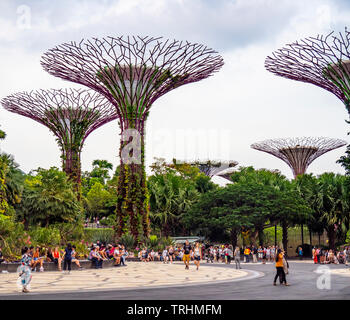 Tourists walking between artificial trees in the Supertree Grove vertical garden at Gardens by the Bay Singapore. Stock Photo