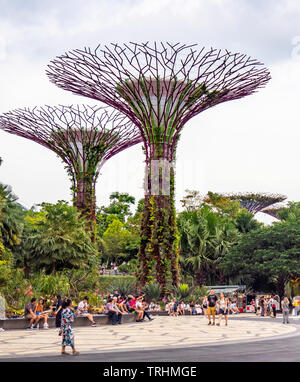 Tourists walking between artificial trees in the Supertree Grove vertical garden at Gardens by the Bay Singapore. Stock Photo