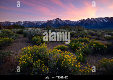 Sunset at the famous Alabama Hills near Lone Pine, California just below Mt. Whitney in the Eastern Sierra's.