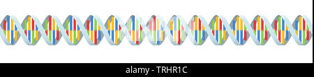 DNA coding strand with four colored base pairings. Seamless extendible double helix - illustration on white background. Stock Photo