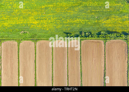 Plowed agricultural field and green meadow aerial top view. Natural background and texture Stock Photo