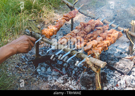 Meat on skewers on fire cooked in nature. Close-up. Stock Photo