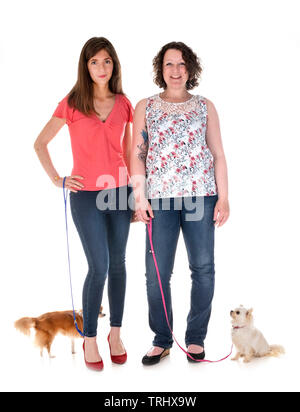 little chihuahuas and women in front of white background Stock Photo