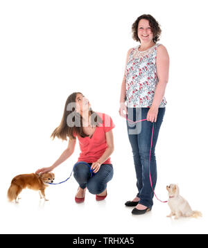 little chihuahuas and women in front of white background Stock Photo