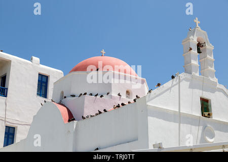 Red dome of and bell tower of church lined with pigeons. One of 365 churches on Mykonos Island in the Cyclades of Greece. Stock Photo