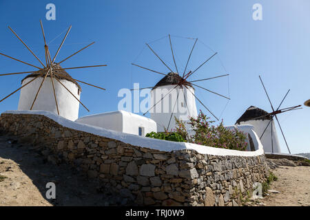 Three of the Kato Mili windmills on a sunny afternoon., with stone wall and garden in front. Shot from below. Stock Photo