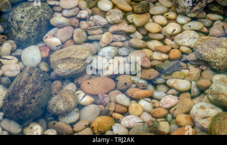 Stone colorful pebble under water with small fish. It is showing the beautiful art of the nature. Stock Photo
