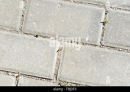 Gray paving slabs with green grass sprouts close up. Abstract background Stock Photo