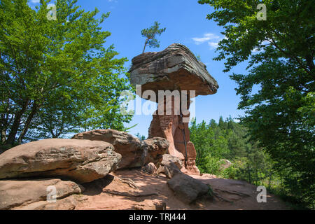 Devil's table (german: Teufelstisch), red sandstone formation at biospere reserve Palatinate forest, Hinterweidenthal, Rhineland-Palatinate, Germany Stock Photo