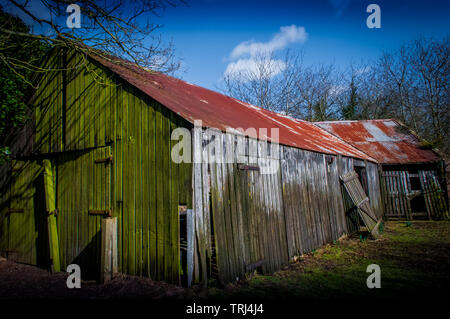 An old rustic wooden barn with broken door and corrugated iron roof showing winter greening of one side Stock Photo