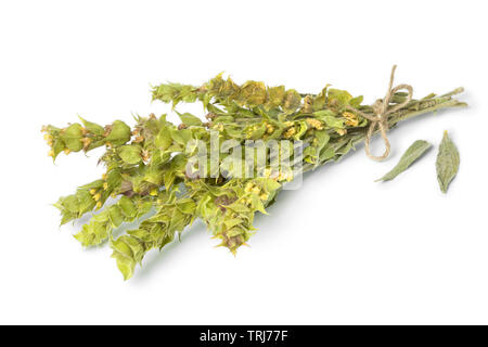 Bunch of green ironwort, sideritus, isolated on white background Stock Photo