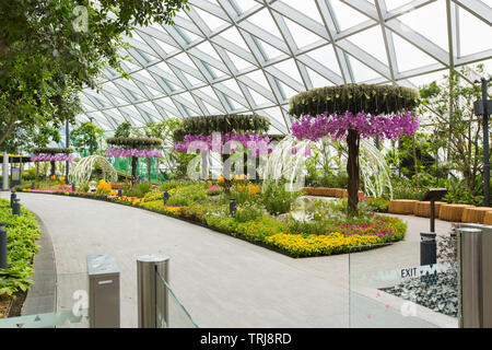 Landscaping view of Canopy Park at Jewel Changi Airport, no people to show a clean view of the design. People can unwind and relax here. Singapore Stock Photo