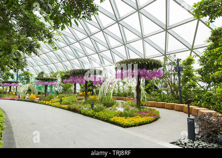 Landscaping view of Canopy Park at Jewel Changi Airport, no people to show a clean view of the design. People can unwind and relax here. Singapore Stock Photo