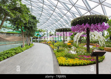 Beautiful indoor view of Canopy Park at Jewel Changi Airport, Singapore Stock Photo