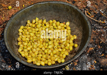 Mahua moitra hi-res stock photography and images - Alamy