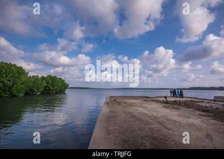 munroe island, kollam, kerala, india - may 26, 2019: fish