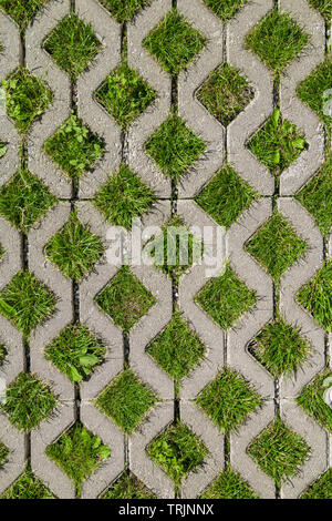 Eco permeable pavement with grass growing through it. Environmentally friendly green parking. Stock Photo