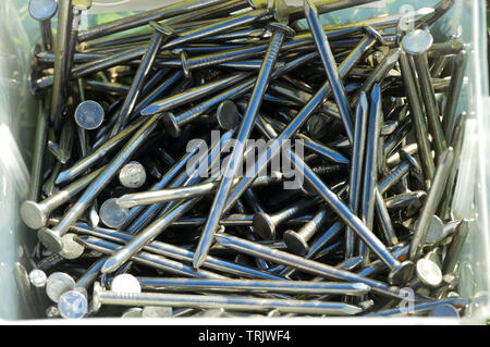 A pile of silver shiny joiners or carpenters nails in a tub Stock Photo