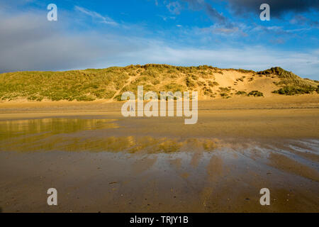 Solitary walker dwarfed by high sand dunes under blue sky that's reflected in water of receding tide at beach at Dunnet Bay, Caithness Scotland Stock Photo